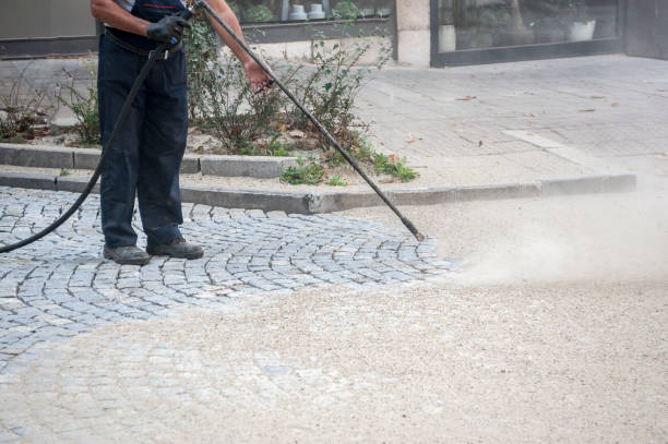 Best Animal Enclosure Cleaning  in Seadrift, TX