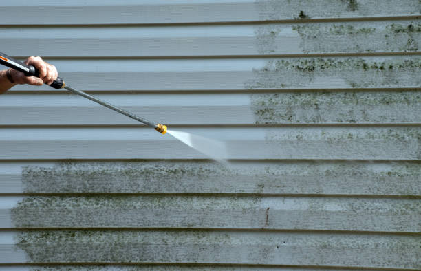 Best House Exterior Washing  in Seadrift, TX