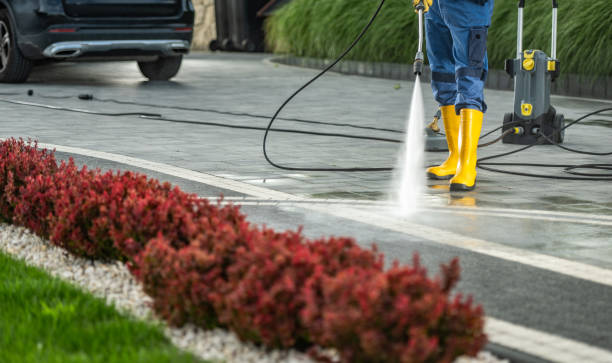 Best Dumpster Area Cleaning  in Seadrift, TX